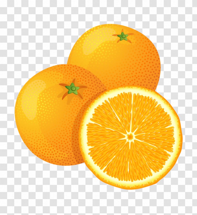 Fruit Orange Clip Art - Royaltyfree - Ostrich Transparent PNG