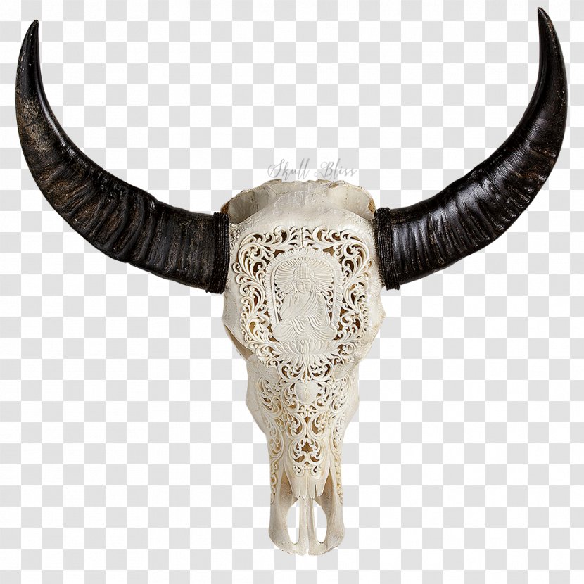 Skull Horn Buffalo American Bison Bone - Carved Transparent PNG