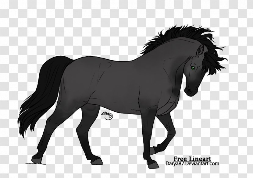 Mustang Stallion Mare Bridle Halter - Horse Supplies Transparent PNG