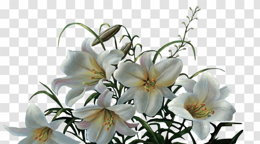 Flower Lilium Computer File - Petal - Lily Bouquet Transparent PNG