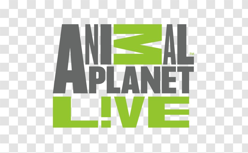 Animal Planet Live Logo Livestream Television - Green - Channel Transparent PNG
