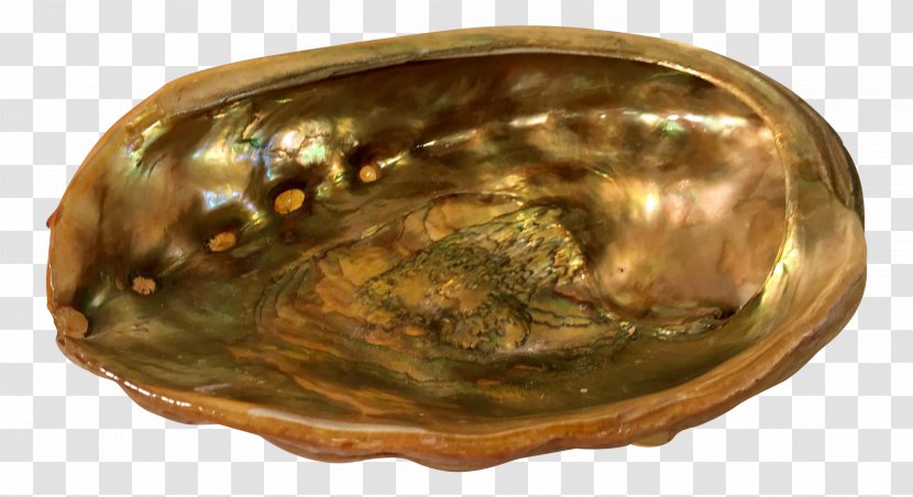 Bowl M Abalone - Tableware Transparent PNG