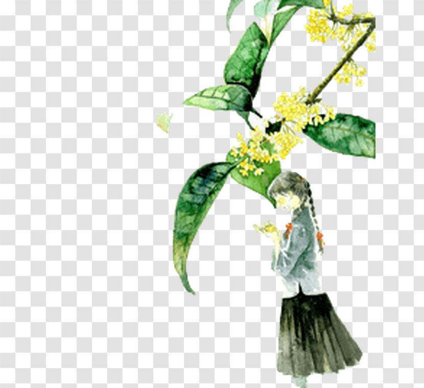 Download Vector Graphics Image Computer File - Flowering Plant - Osmanthus Fragrans Transparent PNG