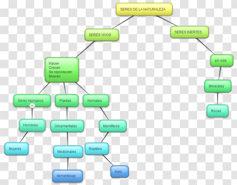 Organism Nature Story HTML5 Video - Mind Map Transparent PNG