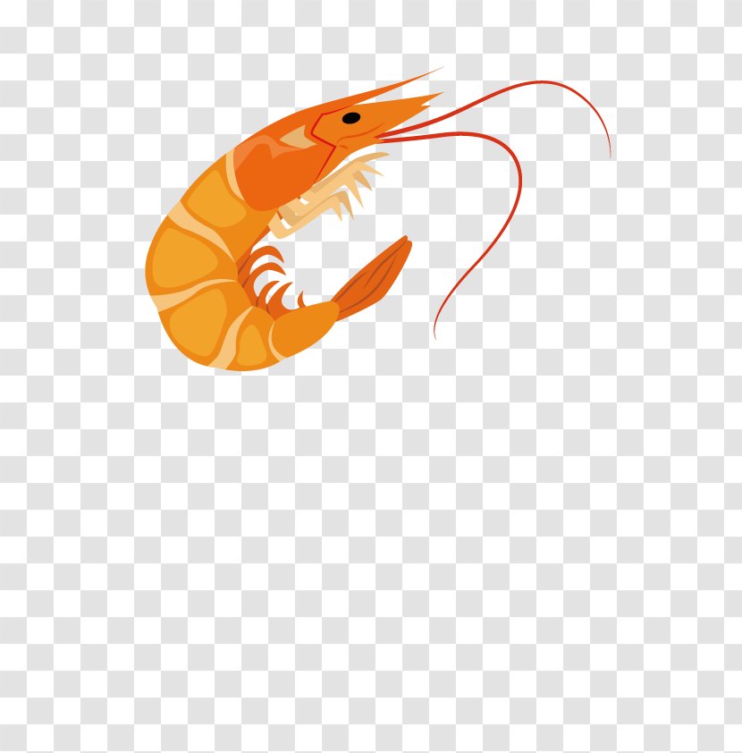 Cartoon Shrimp - Illustration Transparent PNG