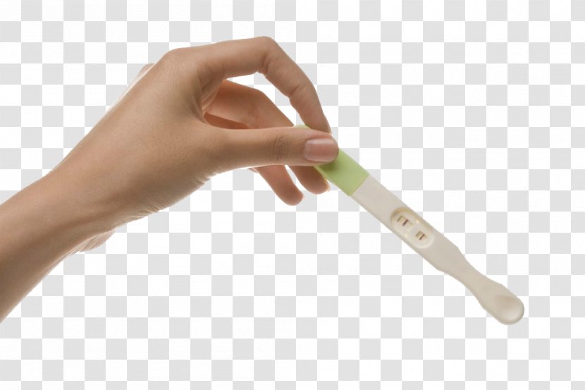 Pregnancy Test Fetus Ovulation Childbirth - Estrogen - Holding A Transparent PNG