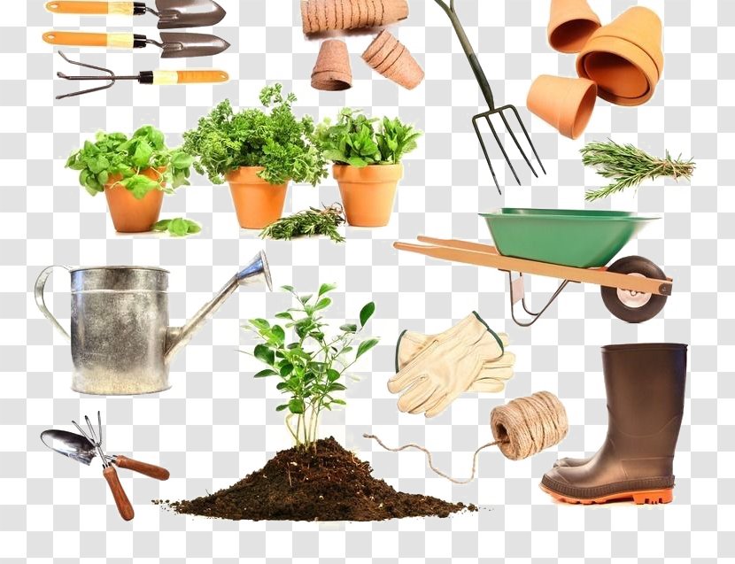 Gardening Container Garden Tool Gardener - Superfood - Tools Species Of Plants Needed Transparent PNG