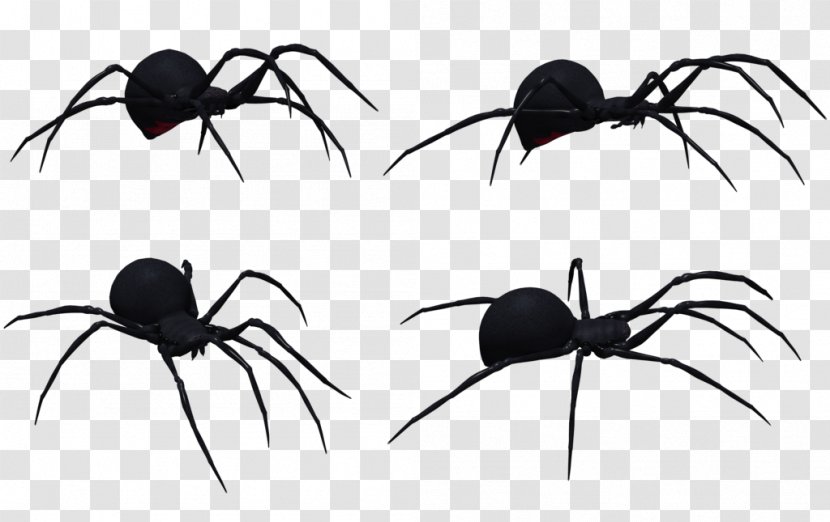 Redback Spider Southern Black Widow Clip Art - Invertebrate Transparent PNG