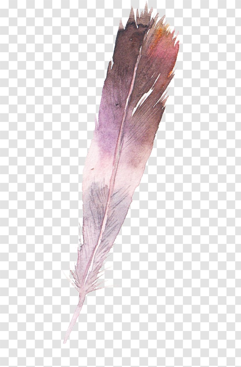 Watercolor Painting Feather - Raster Graphics Transparent PNG