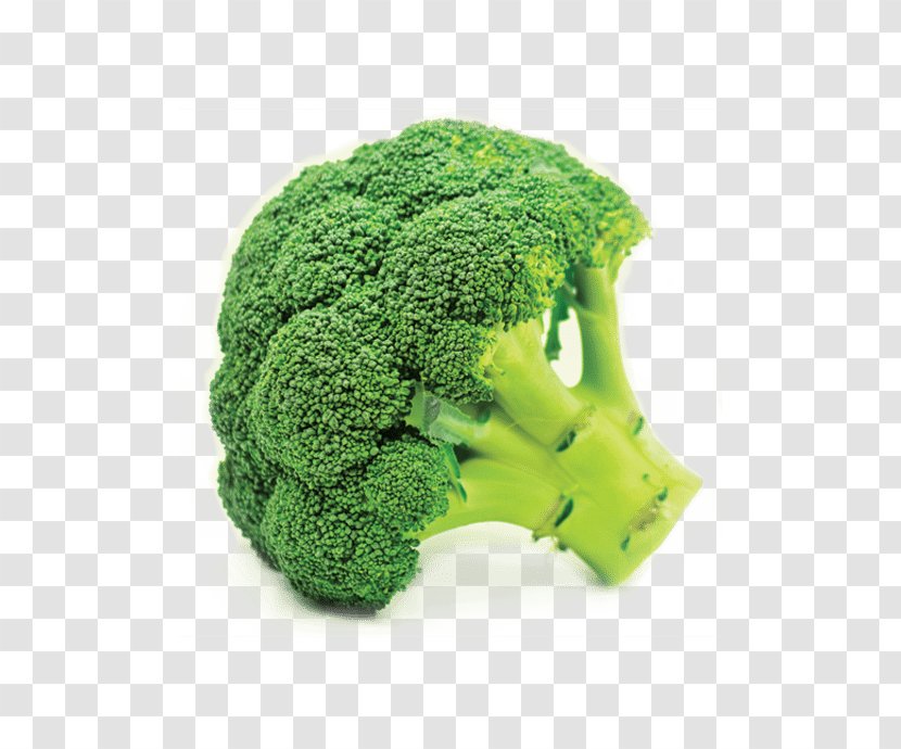 Broccoli Vegetable Organic Food Cauliflower Cabbage - Organism Transparent PNG