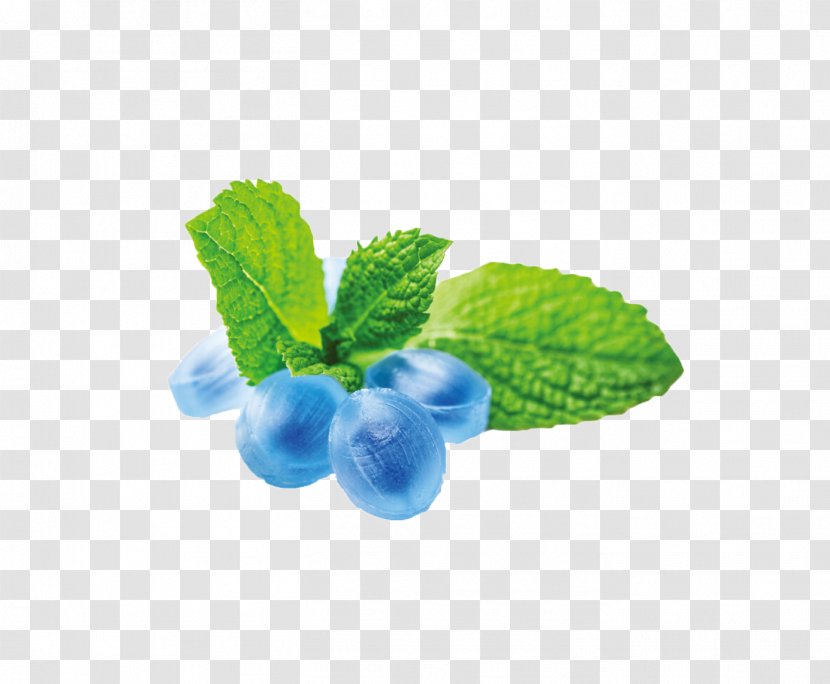 Gummi Candy Aroma Menthol Mint Flavor - Berry - Leaf Transparent PNG