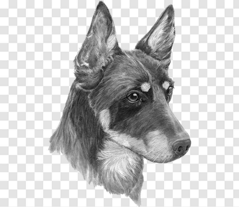 Seppala Siberian Sleddog Utonagan Saarloos Wolfdog German Shepherd Central Asian Dog - Drawing - Hand-painted Puppy Transparent PNG