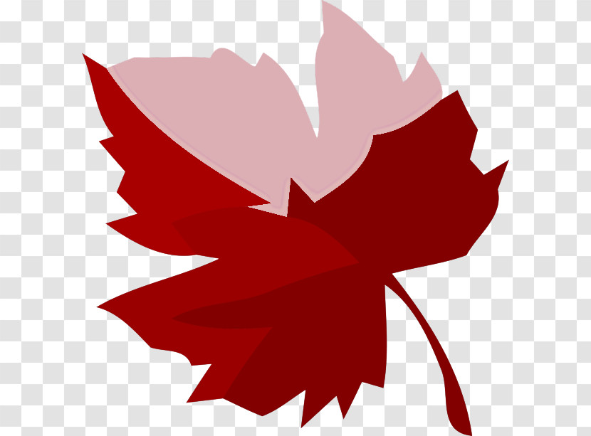 Rose Transparent PNG