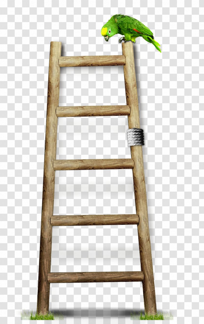 Wood Ladder Stairs - Gratis - Wooden Ladders Transparent PNG