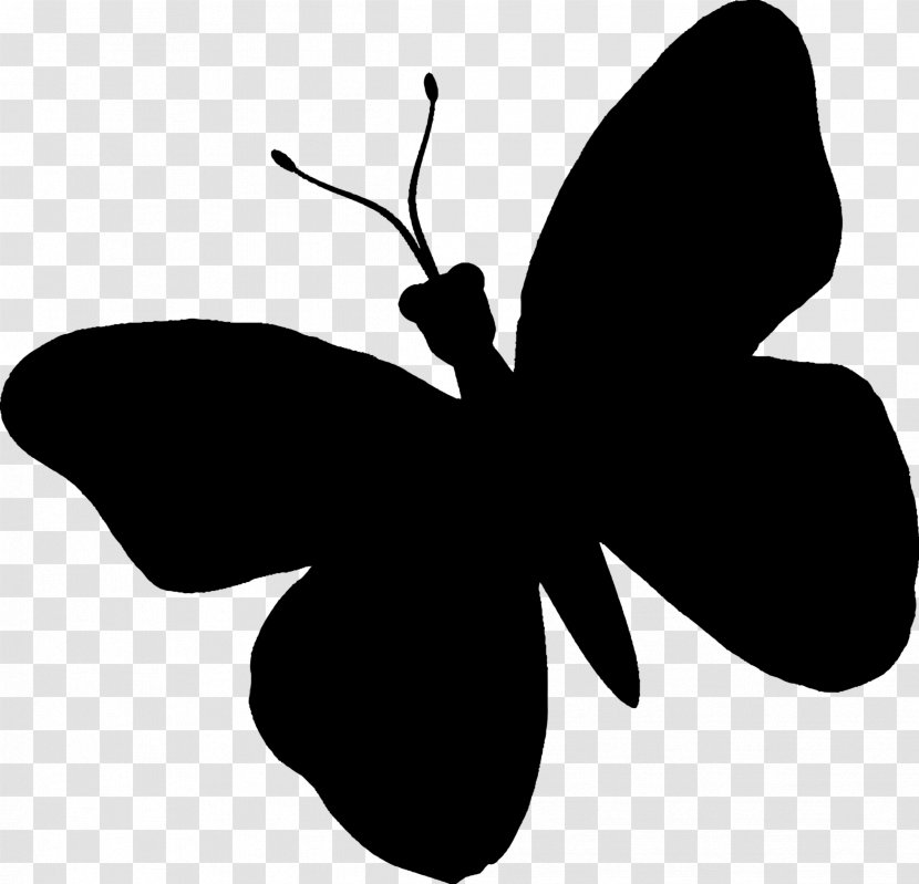 Brush-footed Butterflies Insect Black & White - Photography - M Clip Art Silhouette Transparent PNG