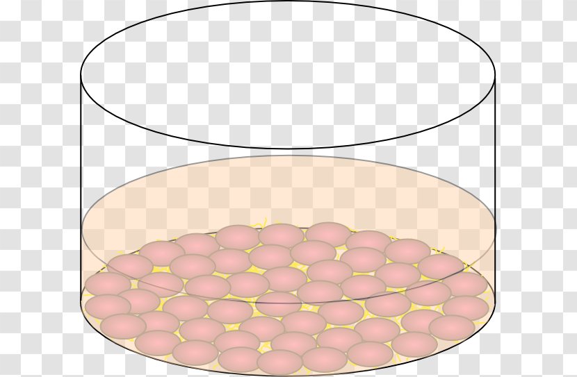 Clip Art Extracellular Matrix - Net - Cells Transparent PNG