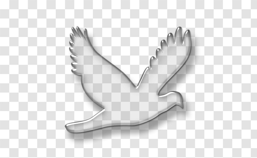 Water Bird Wing Beak Feather - Neck Transparent PNG