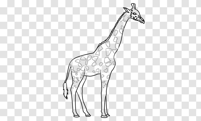 Line Art Contour Drawing Giraffe - Organism - Cartoon Wavy Lines Transparent PNG