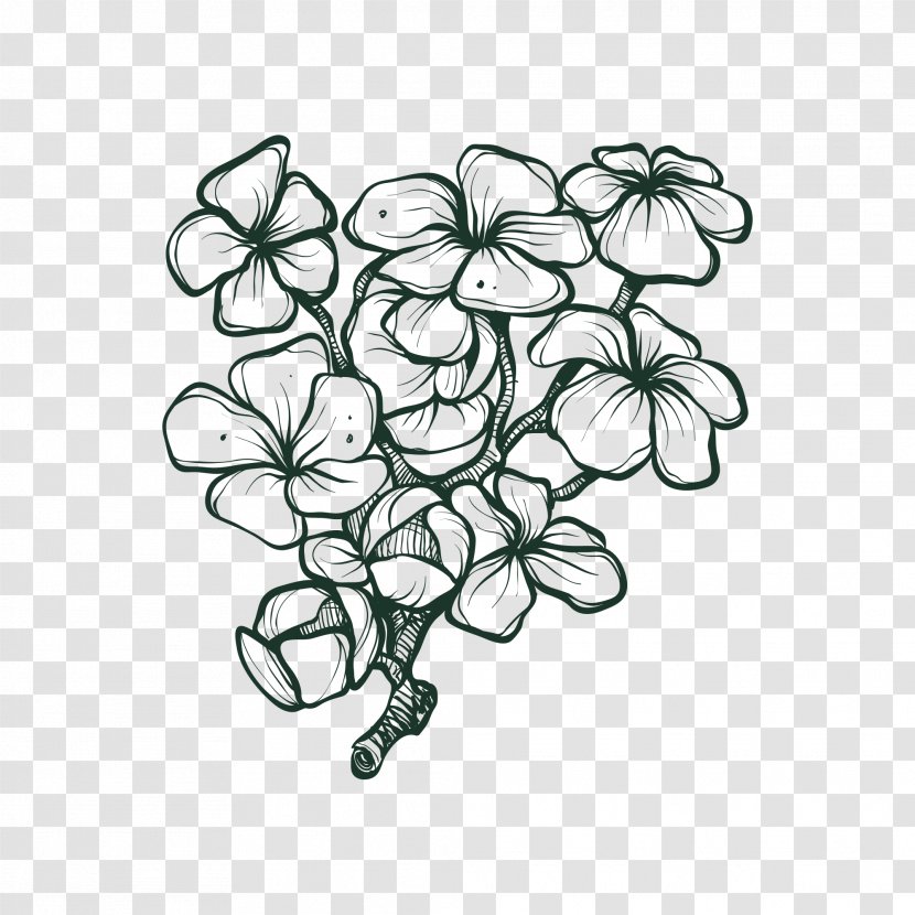 Drawing Flower Vector Graphics Painting - Simple Transparent PNG