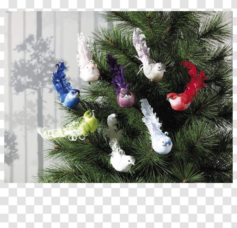 Christmas Ornament Tree Decoration - Fir Transparent PNG