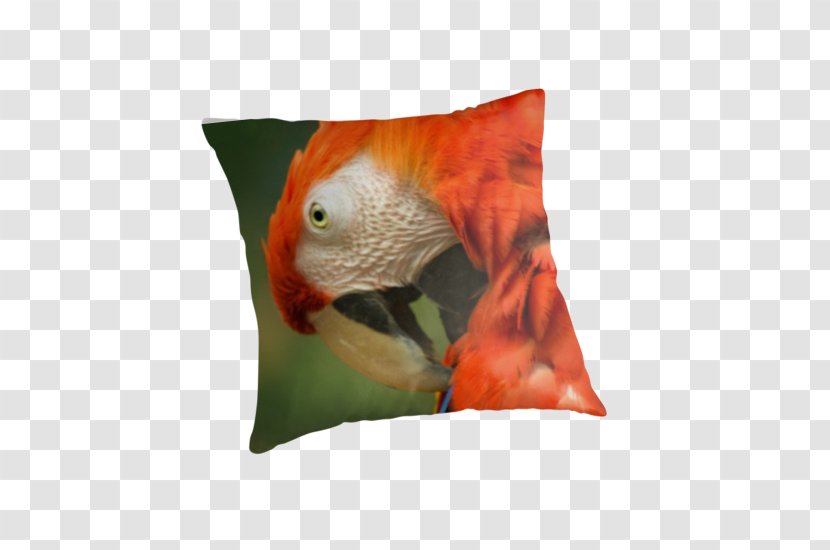 Macaw Beak Cushion Transparent PNG