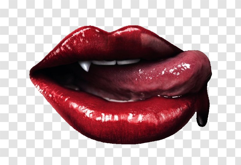 Eric Northman Sookie Stackhouse True Blood Season 4 Vampire - Alan Ball Transparent PNG