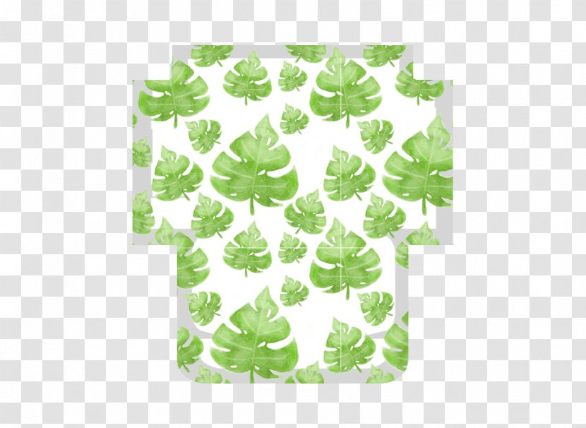 Leaf Green - Organism Transparent PNG