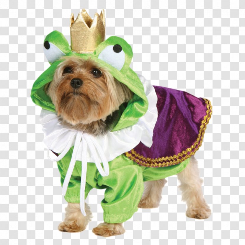 Dress Up Your Dog Puppy Costume - Clothes Transparent PNG