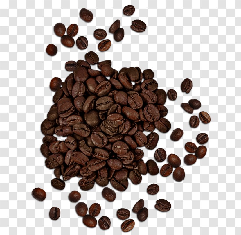 Coffee Cup Cappuccino Tea Cafe - Saucer - Beans Transparent PNG