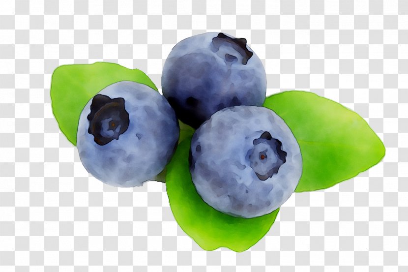 Blueberry Fruit Stock.xchng American Muffins Berries - Vaccinium - Darrowii Transparent PNG