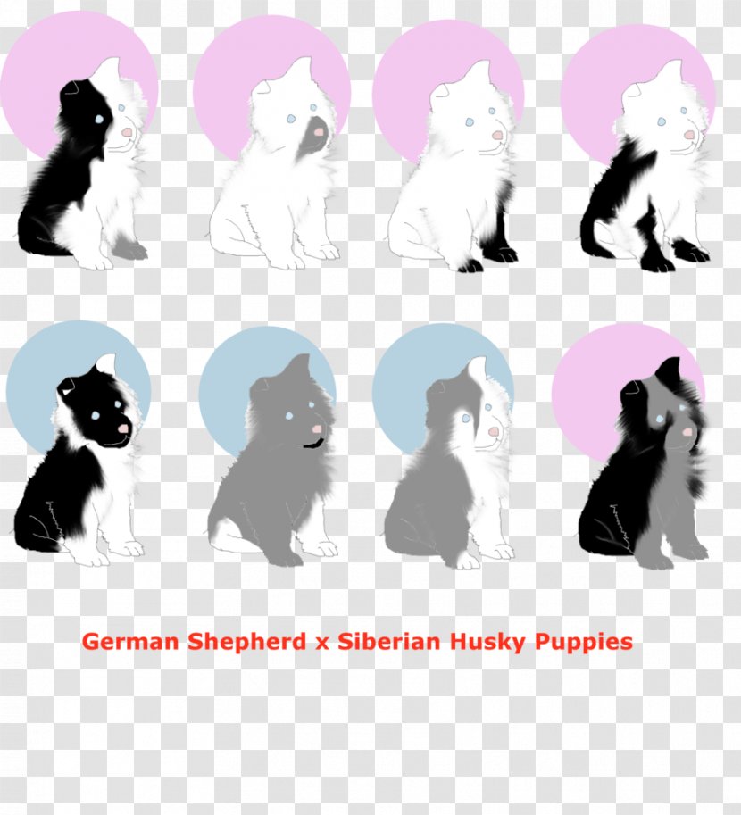 Cat Puppy Dog Breed Non-sporting Group - Like Mammal - Husky Transparent PNG
