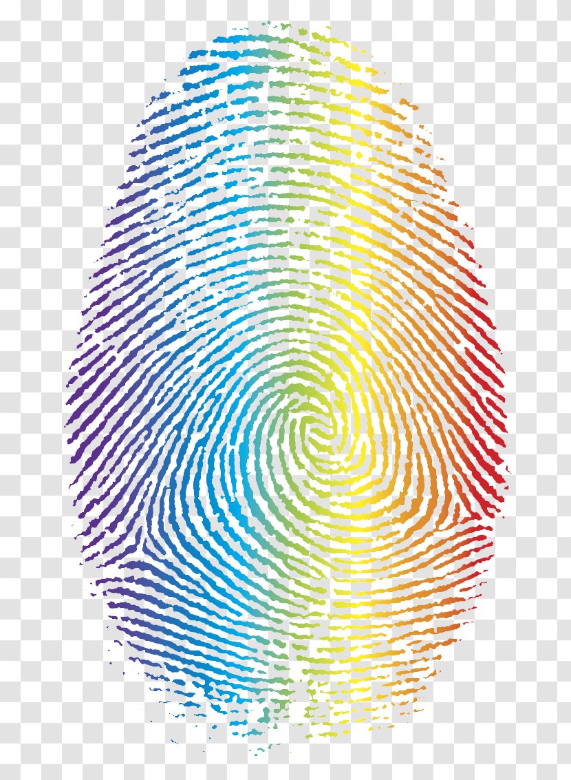 Fingerprint Clip Art - Organism - Corlorful Transparent PNG