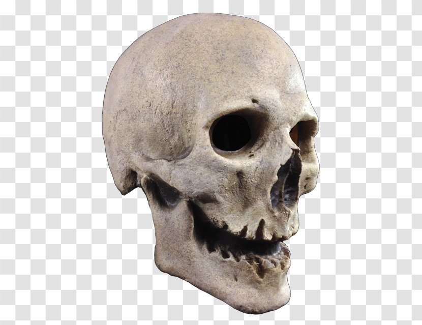 Mask Human Skeleton Skull Costume - Snout Transparent PNG