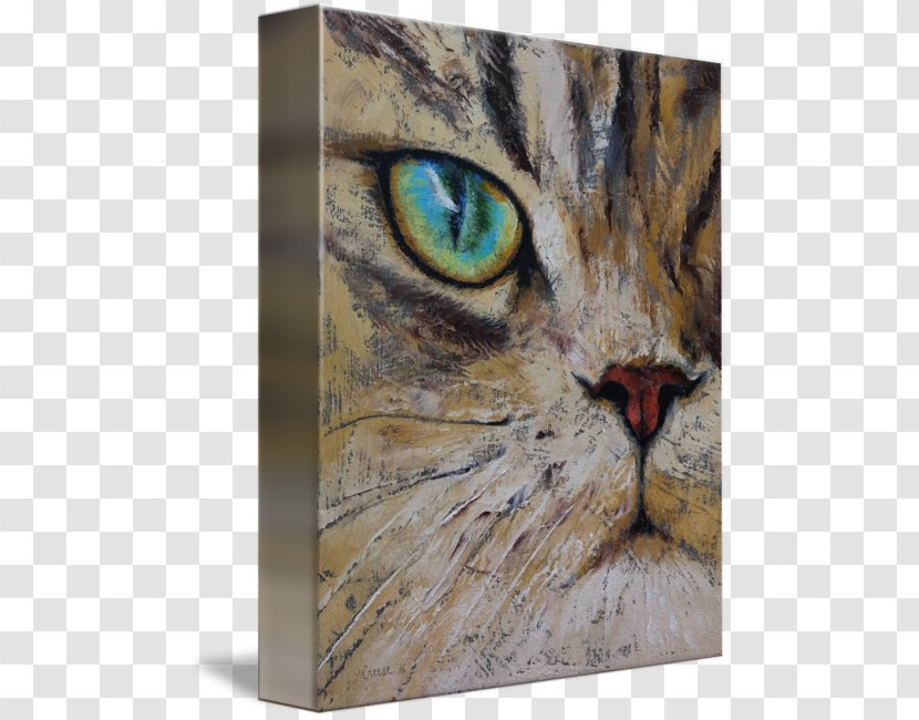 Iran Tabby Cat Canvas Persian Art - Snout Transparent PNG