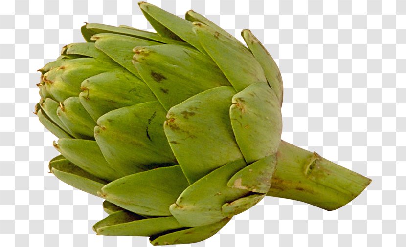 Artichoke Extract Food Vegetable - Animated Film Transparent PNG