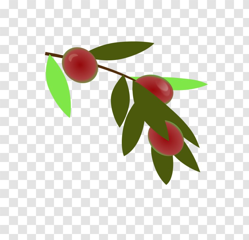 YouTube Clip Art - Cherry - Youtube Transparent PNG