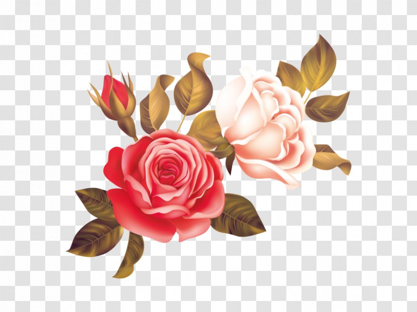 Cut Flowers Garden Roses Floral Design - Rose Family - Flower Transparent PNG