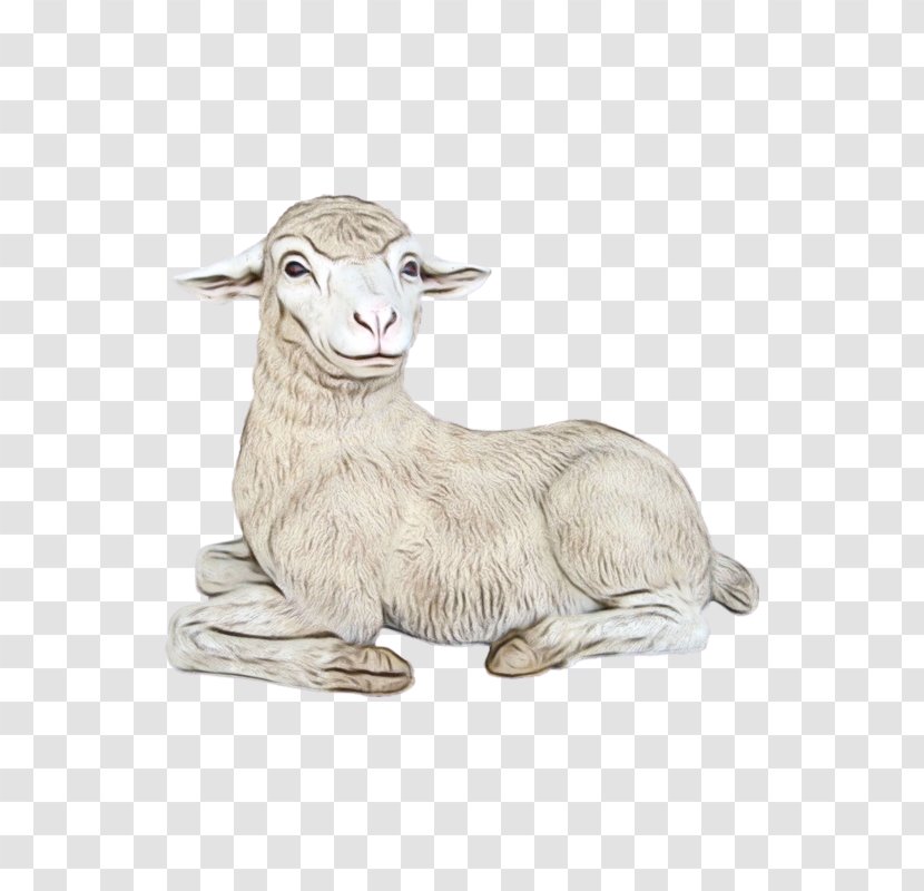 Merino Image Rove Goat Drawing - Cowgoat Family - Goatantelope Transparent PNG