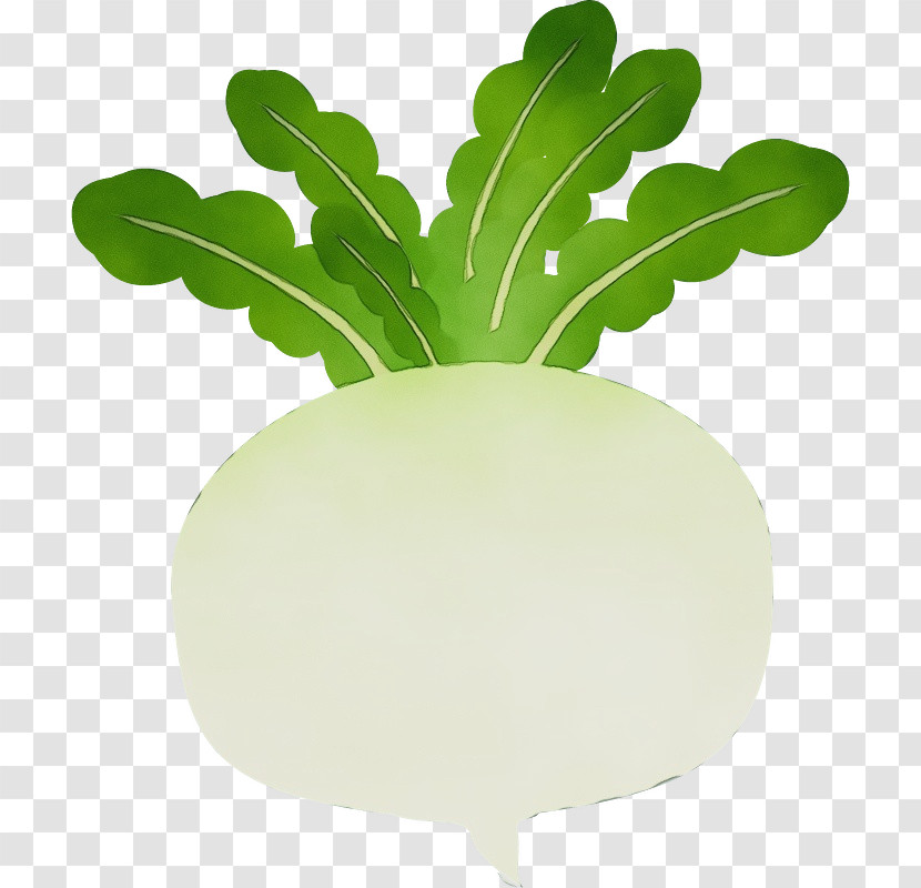 Leaf Vegetable Share Share Price Leaf Cashier Transparent PNG