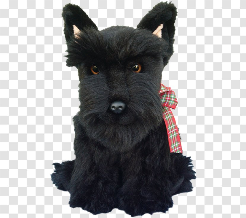 Miniature Schnauzer Scottish Terrier Cairn Affenpinscher French Bulldog - Mammal - Puppy Transparent PNG