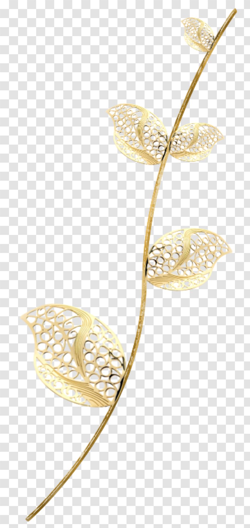 Image Leaf Plant Stem Photograph - Flora - Floral Transparent PNG