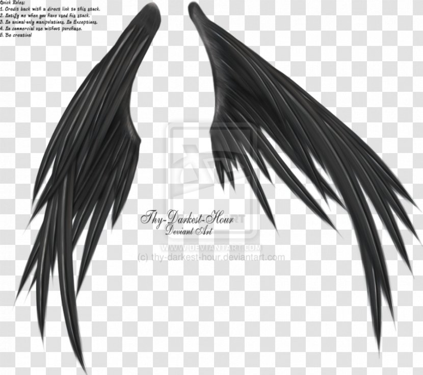 Wings Of Madness Photography Zeno Morf Clip Art - Information - Black And White Transparent PNG