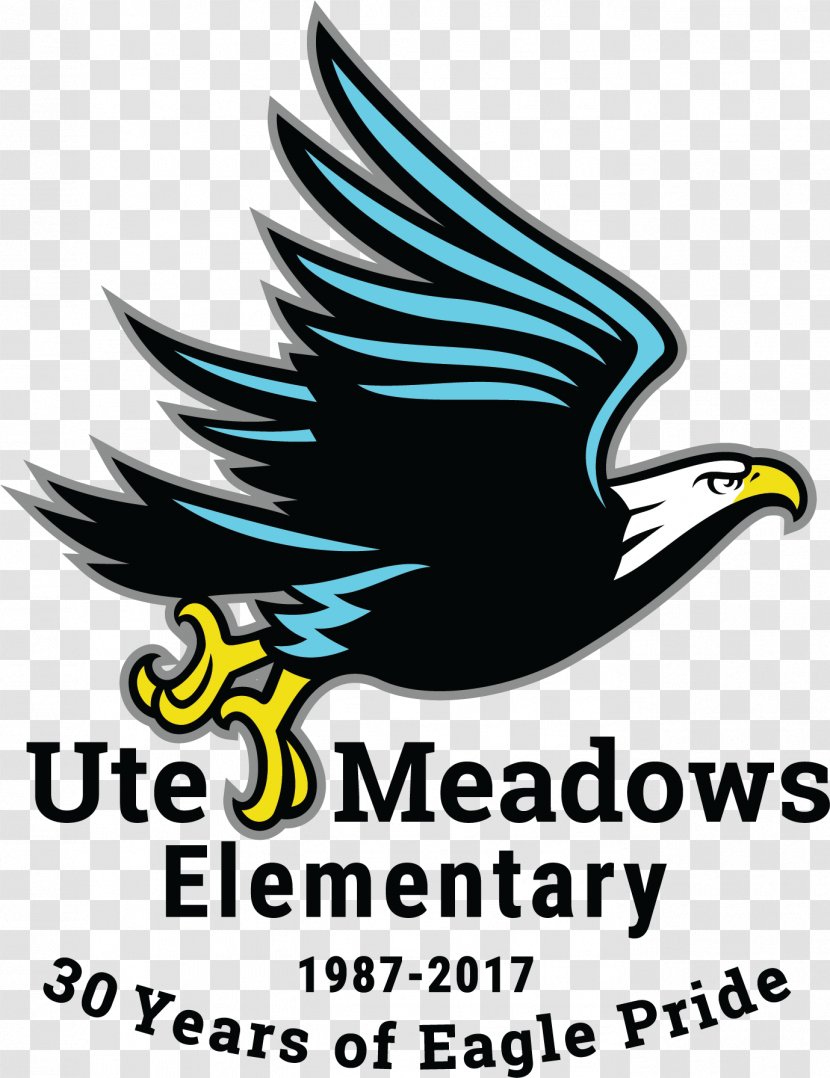 Ute Meadows Elementary School Student Middle Transparent PNG