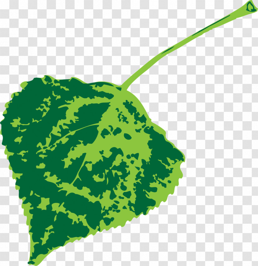 Leaf Green Meter Biology Science Transparent PNG