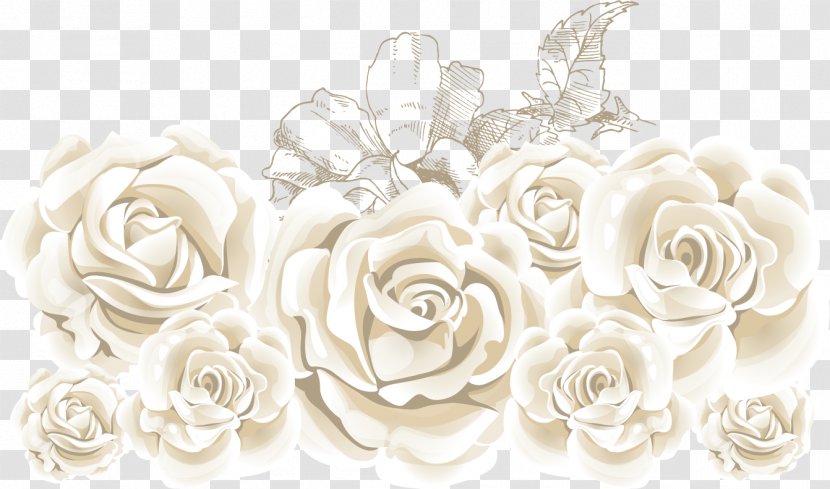 Rose Flower Stock Illustration - Family - White Roses Transparent PNG