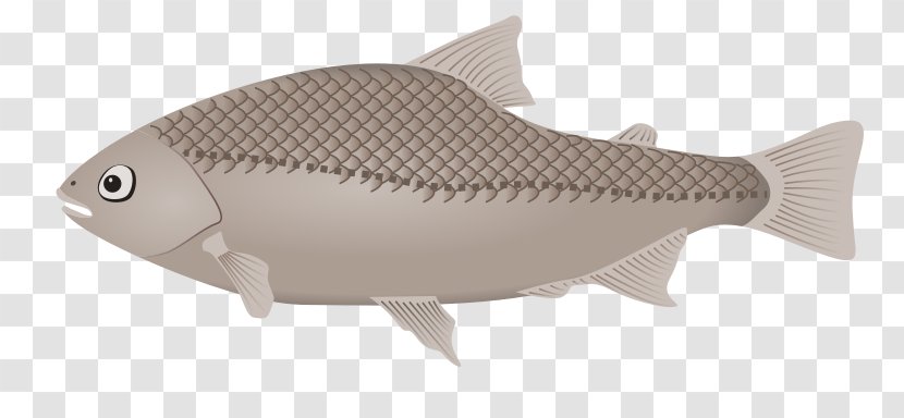 Fish Clip Art - Fishing Transparent PNG