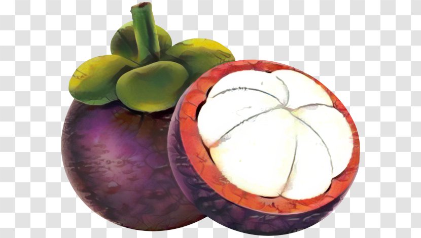 Mango Cartoon - Cut - Superfood Plant Transparent PNG