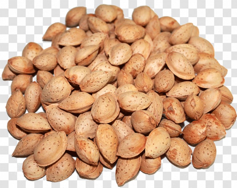 Srinagar Almond Nut Dried Fruit Wholesale Transparent PNG
