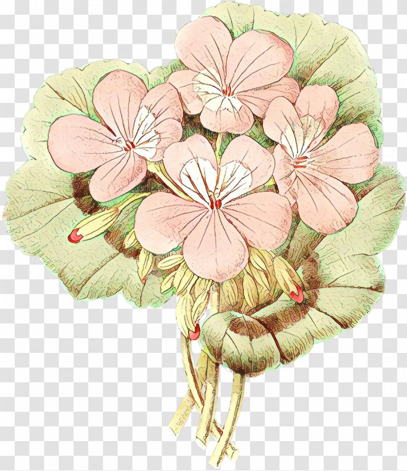 Flower Pink Petal Plant Clip Art - Blossom - Geranium Transparent PNG