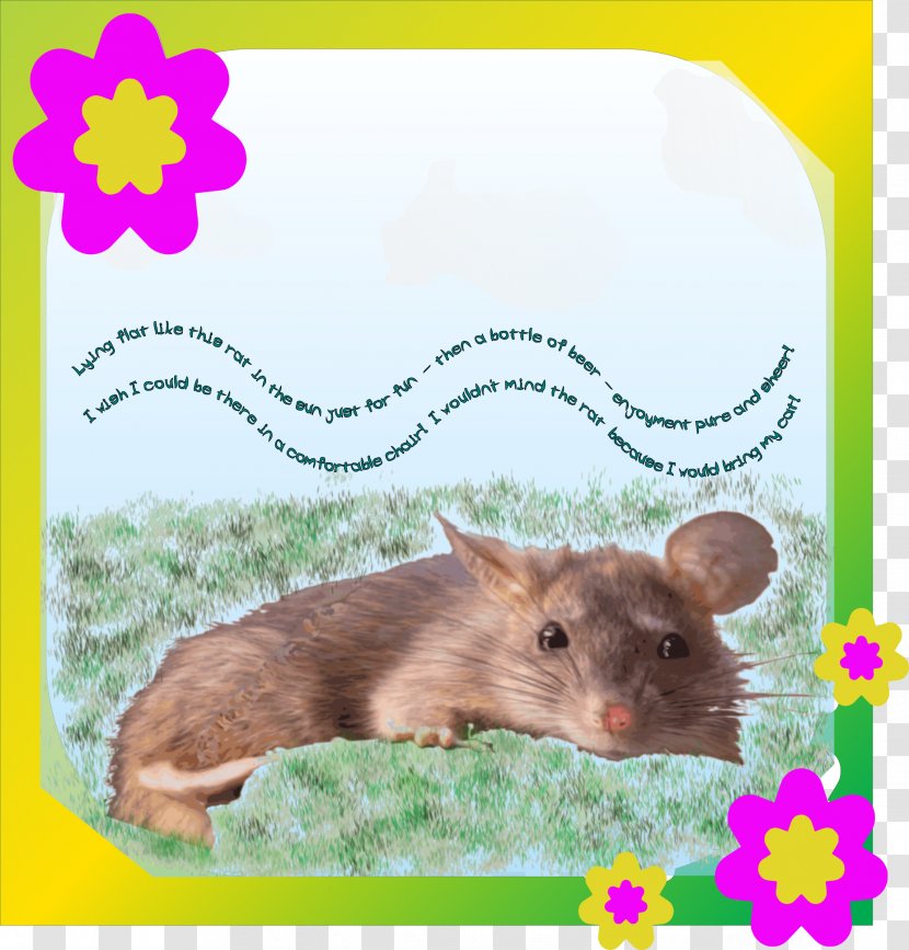 Line Art Clip - Gerbil - Rat Transparent PNG